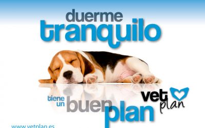 Elvira Valdelvira presenta Vetplan, los mejores planes de salud para mascotas