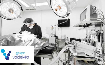 El mejor equipamiento para veterinarios en Comercial Valservet