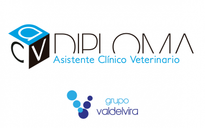 Da el salto a la docencia: conviértete en profesor/a de nuestros Cursos de Asistente Clínico Veterinario