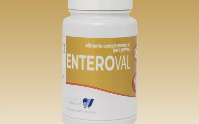 Conoce más sobre EnteroVal, alimento complementario para perros de Comercial Valservet