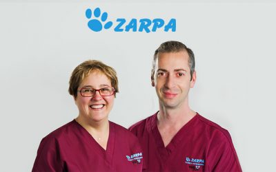 Charla Online Impulso Vetplan: la Experiencia de Clínica Veterinaria Zarpa