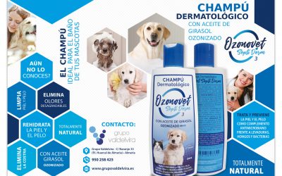 Conoce Ozonovet Septiderm, el champú dermatológico con ozono para tus pacientes