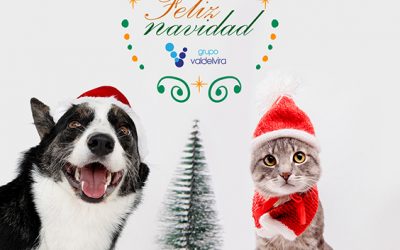Felices Fiestas y Próspero Año Nuevo