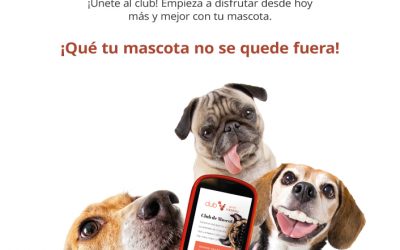 ¿Todavía no conoces Club Grupo Valdelvira? El mejor club para los amantes de los animales