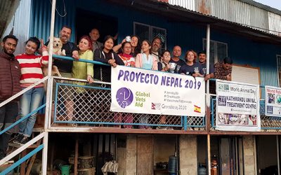 Proyecto Nepal 2019 de Global Vets Aid, solidaridad veterinaria para el bienestar animal y social