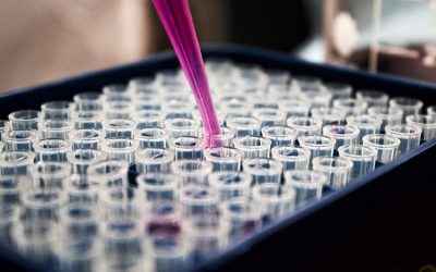 [CONVENIOS EXCLUSIVOS] Micros Veterinaria, laboratorio de diagnóstico anatomopatológico