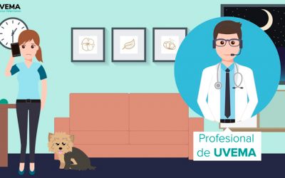 [CONVENIOS EXCLUSIVOS] UVEMA Servicios Veterinarios, servicios de atención telefónica para tu clínica