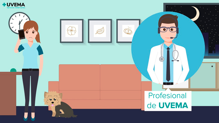 [CONVENIO ACTUALIZADO] UVEMA, atención telefónica de urgencias para tu clínica veterinaria