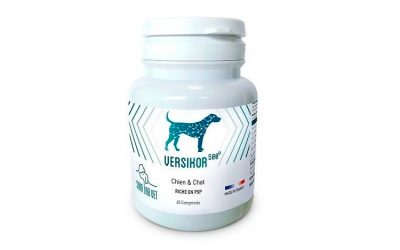 Versikor 500,  alimento complementario para perros y gatos rico en PSP