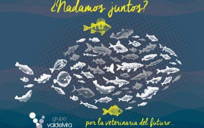 Nueva Imagen de Grupo Valdelvira 2020: ¿Nadamos Juntos?