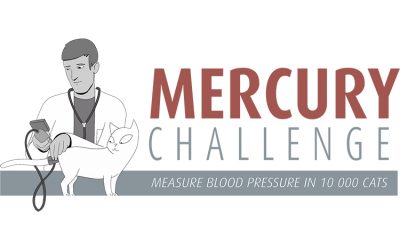 Participa en el Mercury Challenge y gana una beca de formación para veterinarios