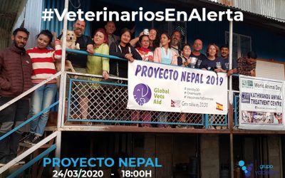 La experiencia de los veterinarios de #ProyectoNepal en #VeterinariosEnAlerta