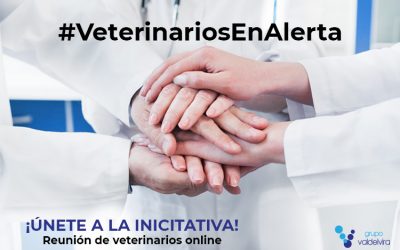 #VeterinariosEnAlerta, el Encuentro Online para Veterinarios, todas las tardes a partir de las 18:00h