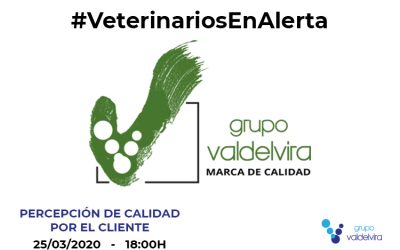 [CHARLA ONLINE] Percepción de Calidad por el Cliente en un Centro Veterinario – #VeterinariosEnAlerta