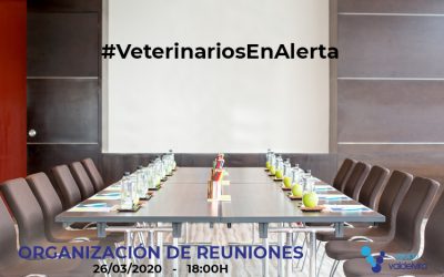[CHARLA ONLINE] Organización de Reuniones con el Personal del Centro Veterinario – #VeterinariosEnAlerta