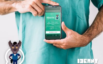 Evaluación, Control y Tratamiento de la hipertensión en gatos – Formación Online vía WhatsApp y Podcast