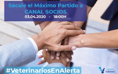 [CHARLA ONLINE] Sácale el Máximo Partido a CANAL SOCIOS – #VeterinariosEnAlerta