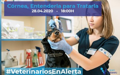 [CHARLA ONLINE] Córnea, Entenderla para Tratarla – #VeterinariosEnAlerta