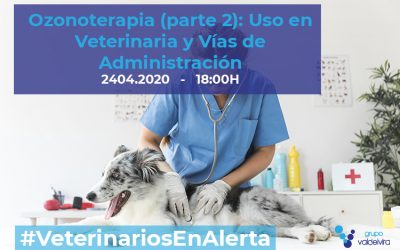 [CHARLA ONLINE] Ozonoterapia (parte 2): Uso en Veterinaria y Vías de Administración – #VeterinariosEnAlerta