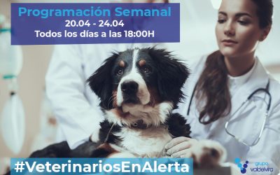 Programación de #VeterinariosEnAlerta Semana 20/04 – 24/04