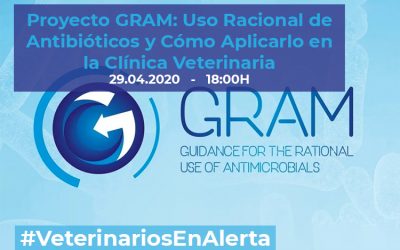 [CHARLA ONLINE] Proyecto GRAM: Uso Racional de Antibióticos y Cómo Aplicarlo en la Clínica Veterinaria – #VeterinariosEnAlerta