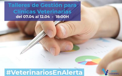 Talleres de Gestión para Clínicas Veterinarias – #VeterinariosEnAlerta