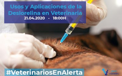 [CHARLA ONLINE] Usos y Aplicaciones de la Deslorelina en Veterinaria – #VeterinariosEnAlerta