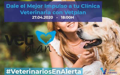 [CHARLA ONLINE] Dale el Mejor Impulso a tu Clínica Veterinaria con Vetplan – #VeterinariosEnAlerta