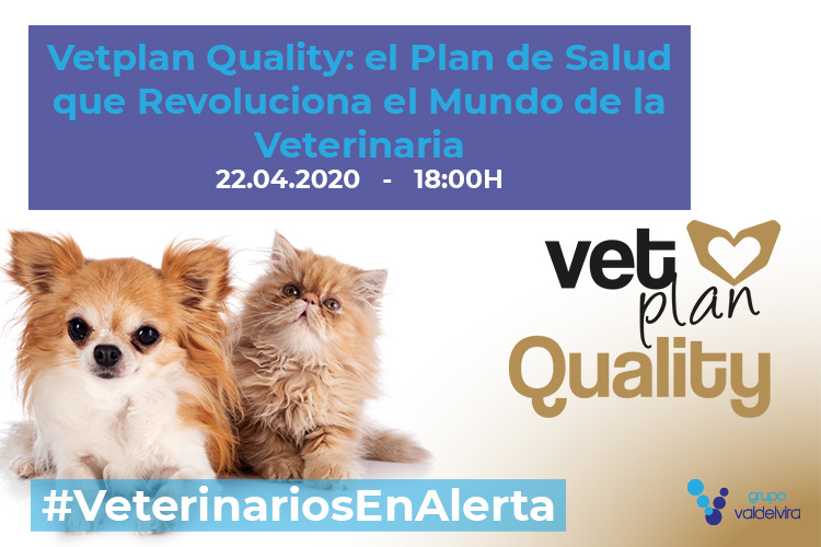 [CHARLA ONLINE] Vetplan Quality: el Plan de Salud que Revoluciona el Mundo de la Veterinaria – #VeterinariosEnAlerta