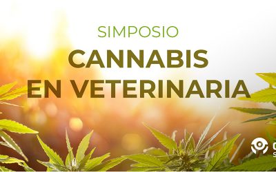[SIMPOSIO ONLINE] Cannabis en Veterinaria – Webinars Exclusivos
