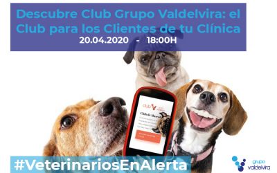 [CHARLA ONLINE] Descubre Club Grupo Valdelvira: el Club para los Clientes de tu Clínica – #VeterinariosEnAlerta