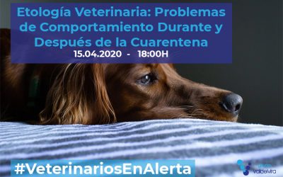 [CHARLA ONLINE] Etología Veterinaria: Problemas de Comportamiento Durante y Después de la Cuarentena – #VeterinariosEnAlerta