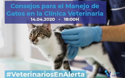 [CHARLA ONLINE] Consejos para el Manejo de Gatos en la Clínica Veterinaria – #VeterinariosEnAlerta
