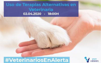 [CHARLA ONLINE] Uso de Terapias Alternativas en Veterinaria – #VeterinariosEnAlerta