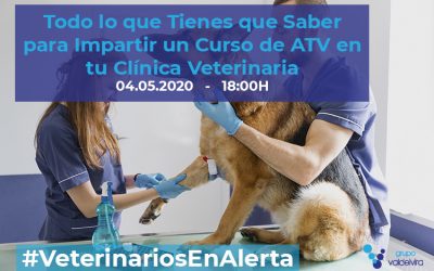 [CHARLA ONLINE] Todo lo que Tienes que Saber para Impartir un Curso de ATV en tu Clínica Veterinaria – #VeterinariosEnAlerta