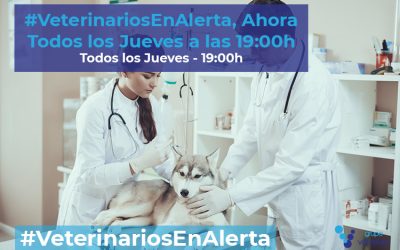 #VeterinariosEnAlerta continúa: ahora todos los jueves a las 19:00h