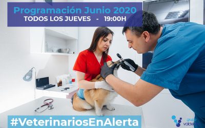 Programación de #VeterinariosEnAlerta – Junio 2020