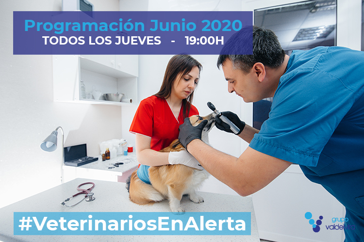 Programación de #VeterinariosEnAlerta – Junio 2020