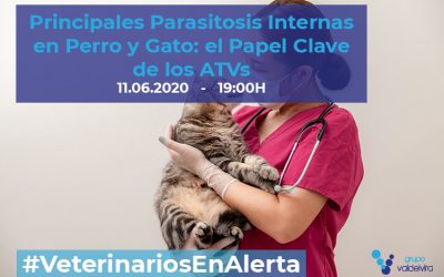 [CHARLA ONLINE] Principales Parasitosis Internas en Perro y Gato: el Papel Clave de los ATVs – #VeterinariosEnAlerta