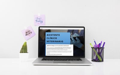 Descubre la web del Curso de Asistente Clínico Veterinario Certificado por AEVE