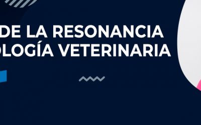 [Ponencia Online] Utilidad de la Resonancia en Neurología Veterinaria, 10 de septiembre a las 14:30