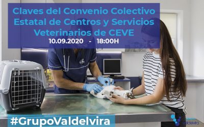 [Reunión Online] Claves del Convenio Colectivo Estatal de Centros y Servicios Veterinarios de CEVE
