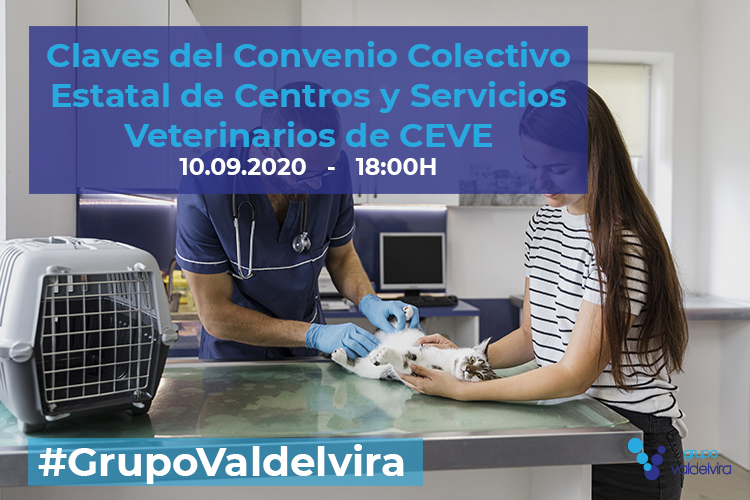 [Reunión Online] Claves del Convenio Colectivo Estatal de Centros y Servicios Veterinarios de CEVE