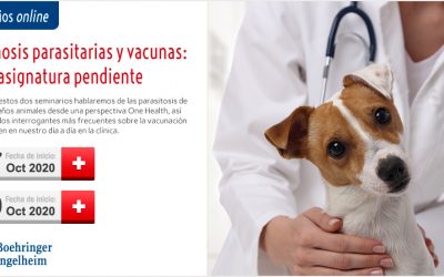 [Seminarios Online] Zoonosis Parasitarias y Vacunas: una asignatura pendiente