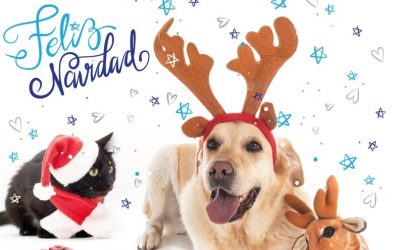 ¡Feliz Navidad y Próspero Año Nuevo!