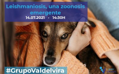 [IMPULSO ACV] Leishmaniosis, una zoonosis emergente