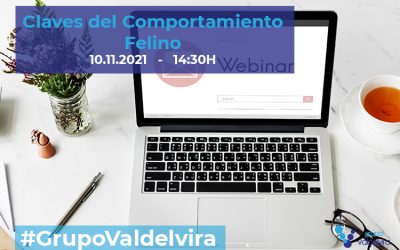 [IMPULSO ACV] Claves del Comportamiento felino