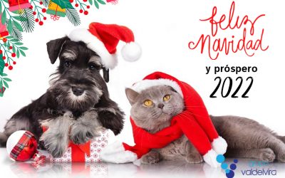 ¡Felices Fiestas y Próspero Año Nuevo!