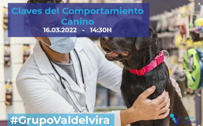 [IMPULSO ACV] Claves del Comportamiento Canino