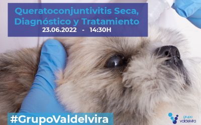 Queratoconjuntivitis Seca, Diagnóstico y Tratamiento Médico y Quirúrgico: Trasplante de Glándulas Salivares Labiales – Webinar